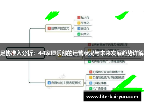 足协准入分析：44家俱乐部的运营状况与未来发展趋势详解